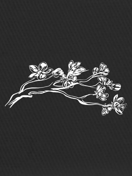 Cherry blossom