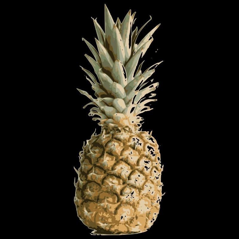 ananas ananas