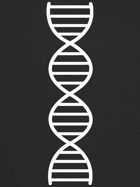 DNA Double Strand
