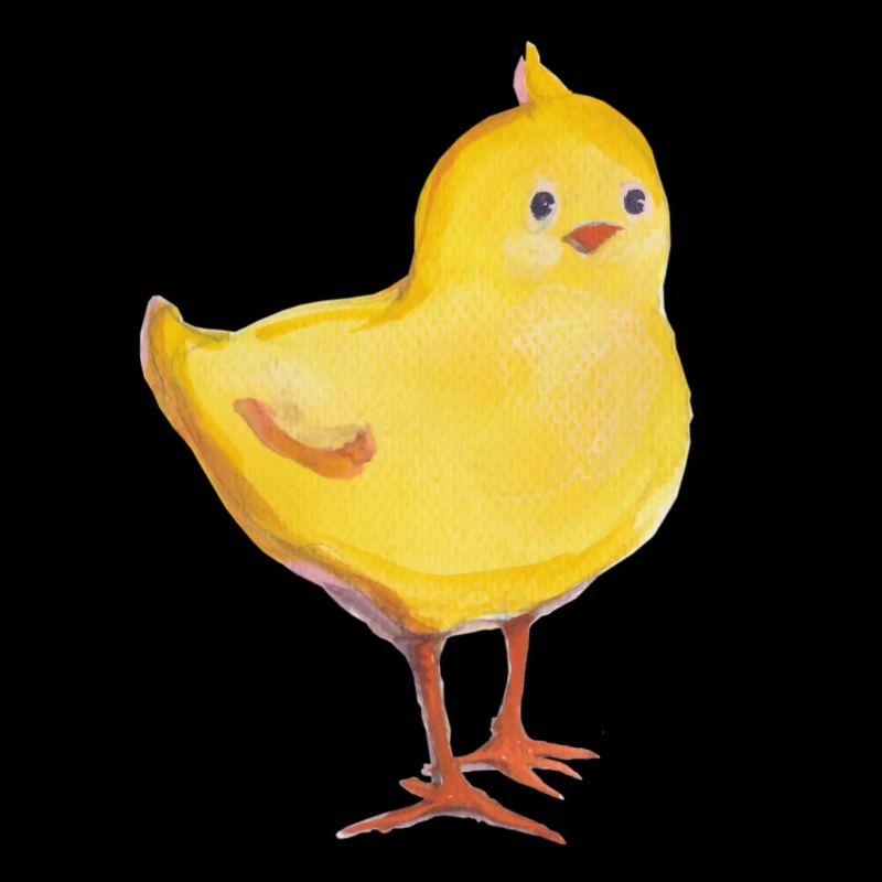 Poussins effrontés