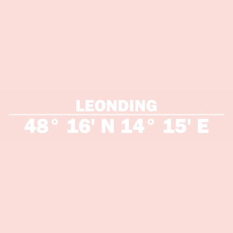 Coordonnées de Leonding