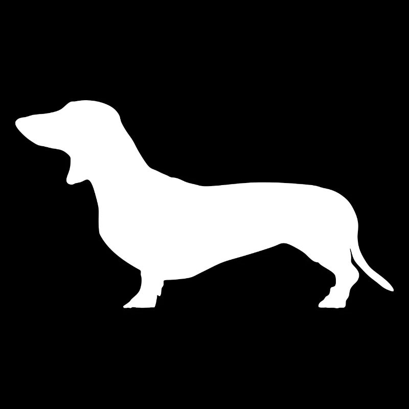 Dackel Jagdhund Teckel Dachshund Hunde