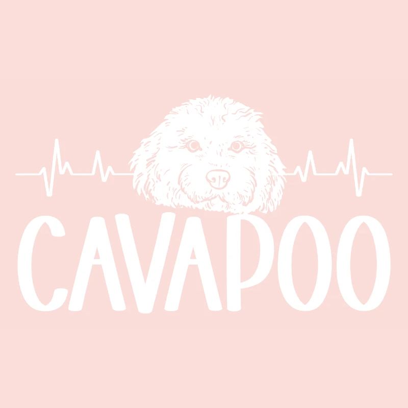 Cavapoo Cavoodle Capoodle Chien