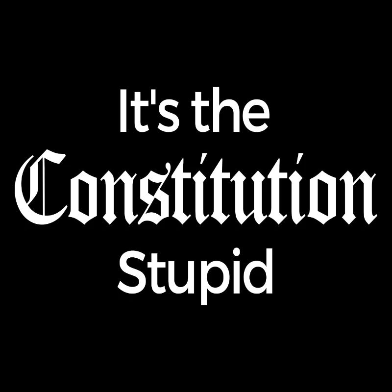 It's The Constitution Stupid - Fun Gift