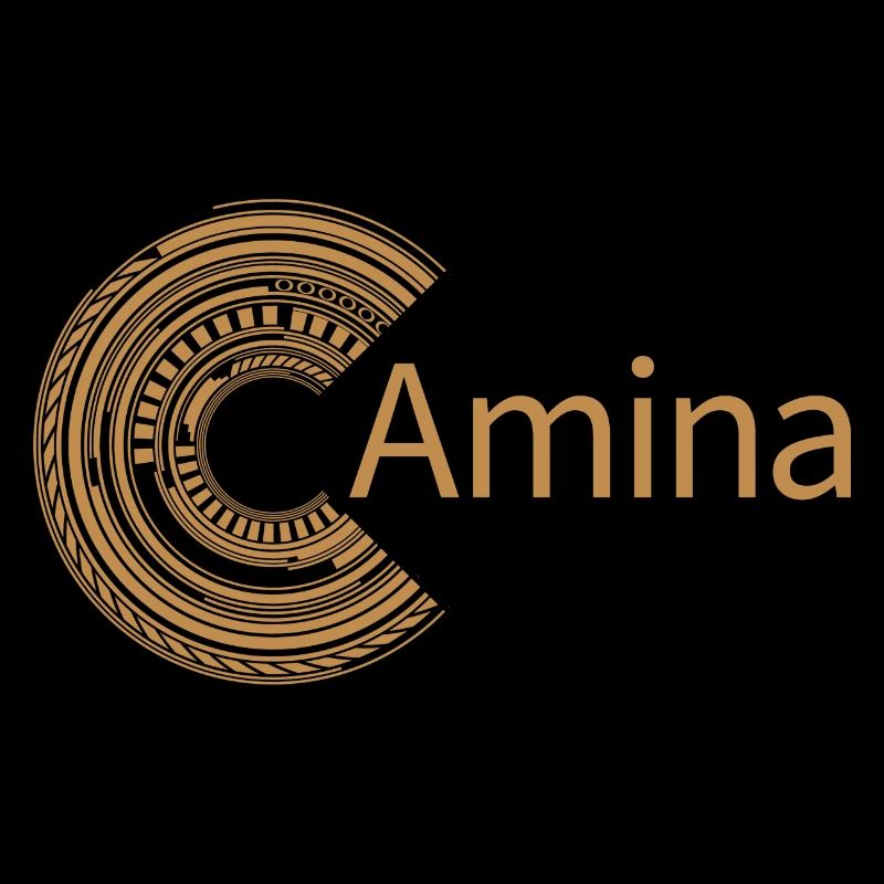 Pour Amina