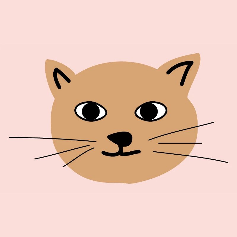 Visage de chat 1