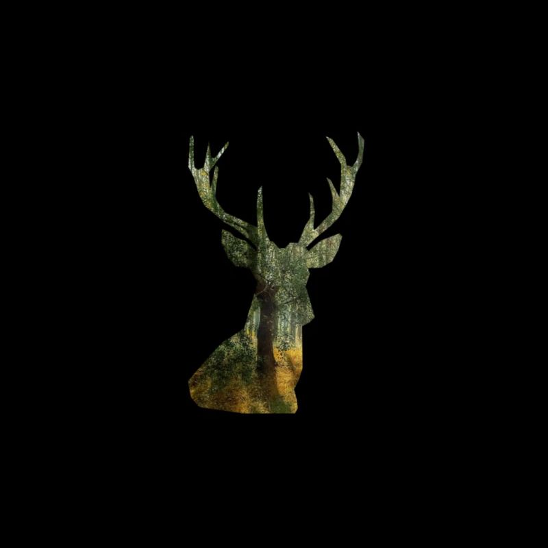 Hirsch