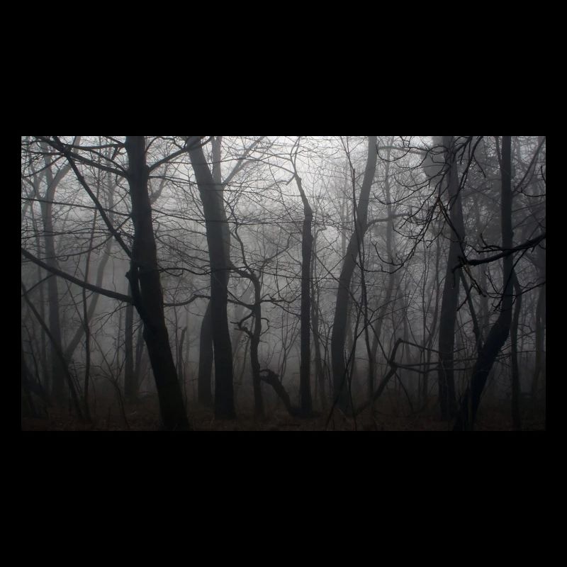 Forêt
