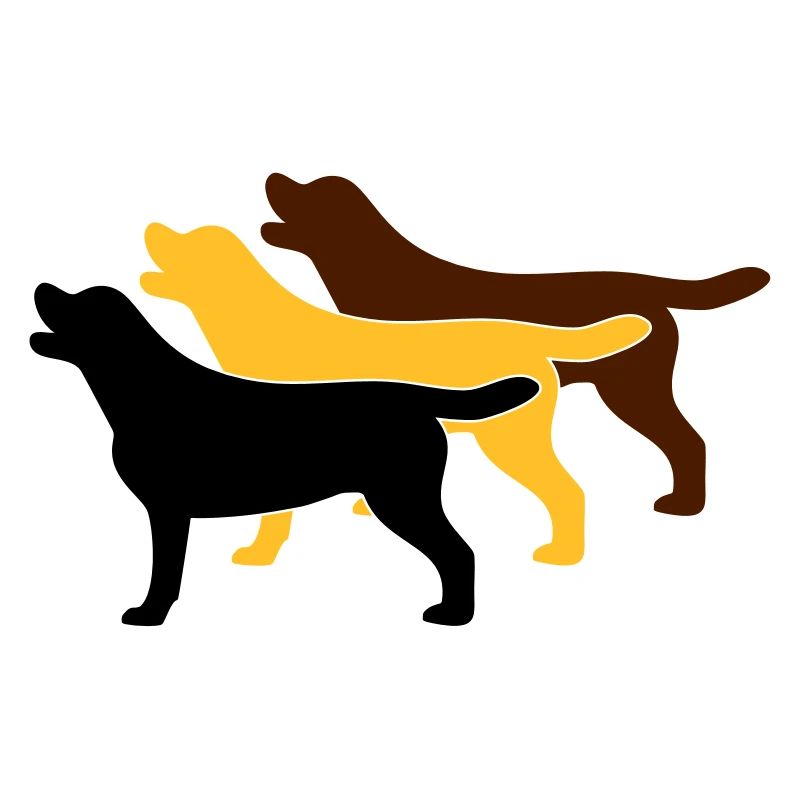 3 Labrador Farben