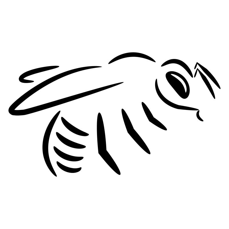 Bee drawing (line drawing)