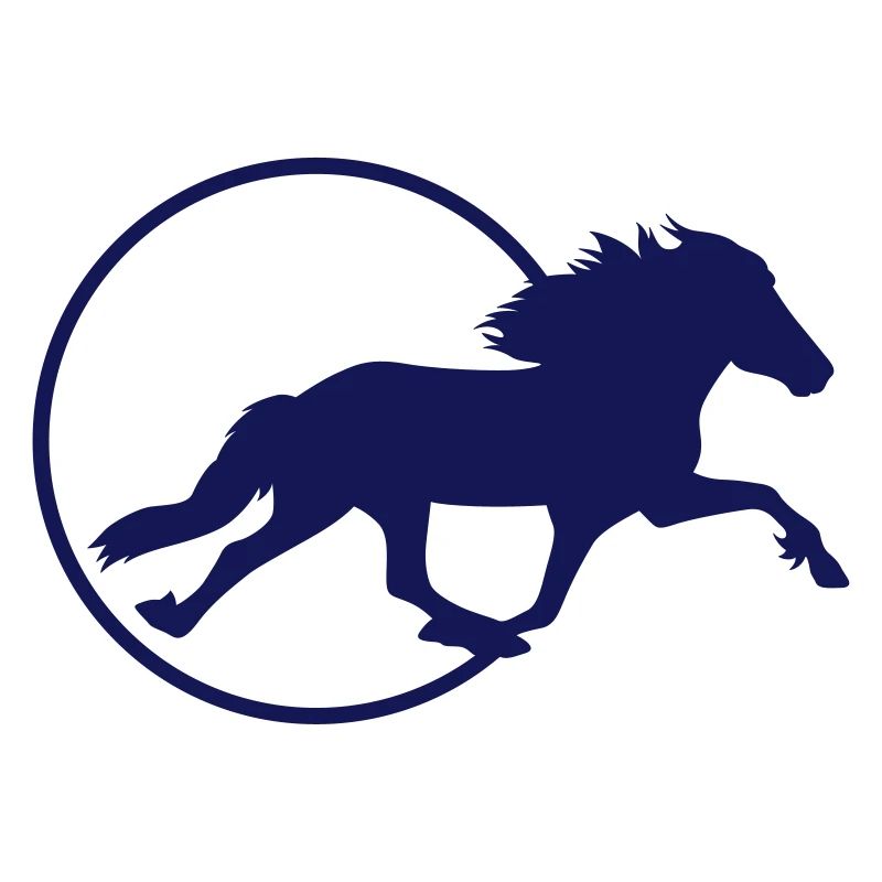 Cheval d’Islande - Pass de course