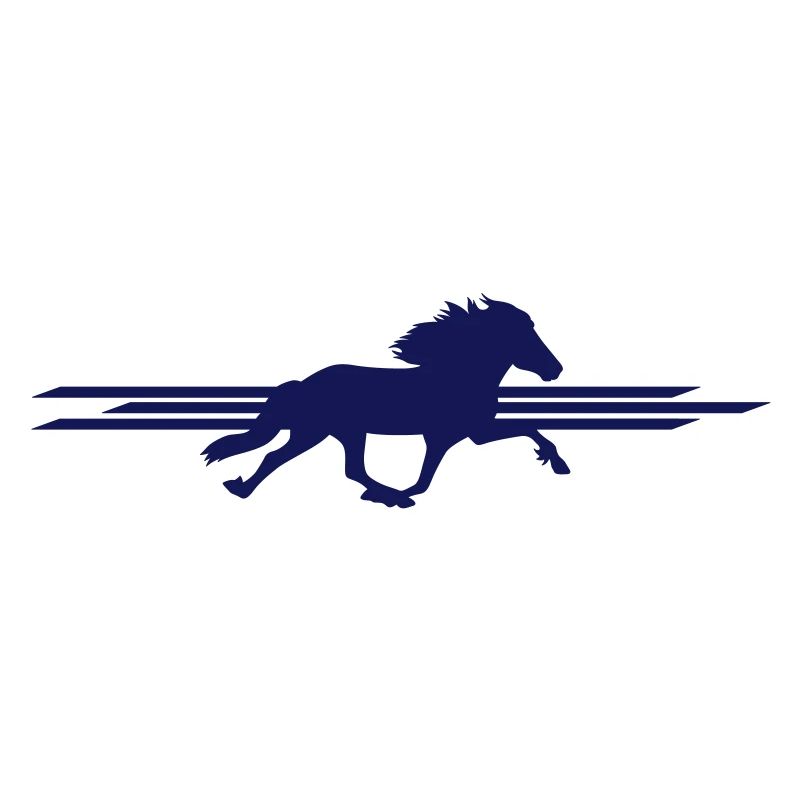 Cheval d’Islande - Flying Pace - Pass de course