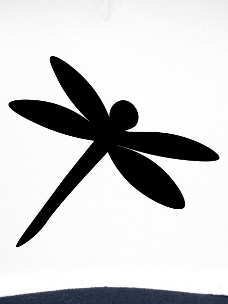 Dragonfly - dragon-fly - libellule