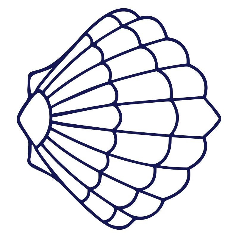 Pétoncle IX bleu