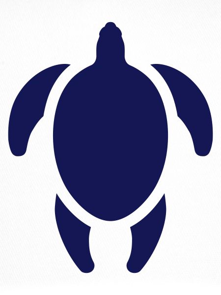 Turtle logo