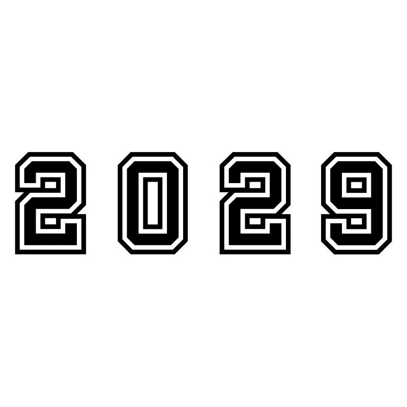 2029 Year Number
