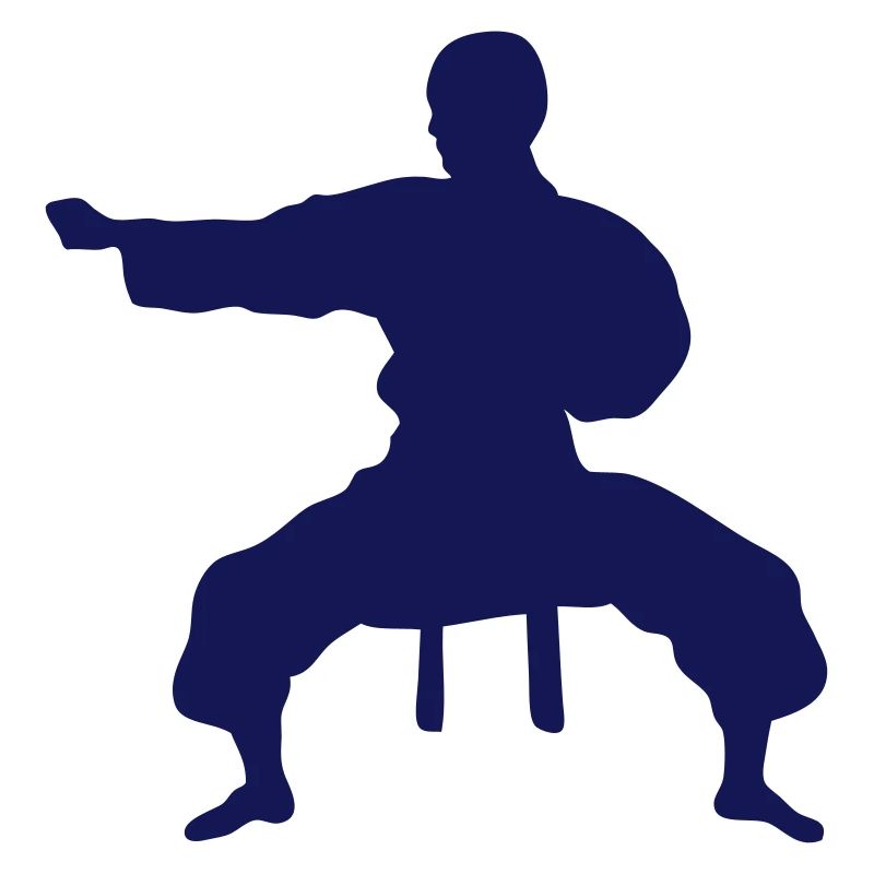 combat karate icone 17 2