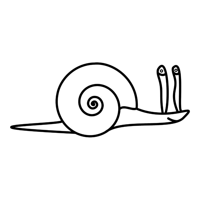 Friendly snail