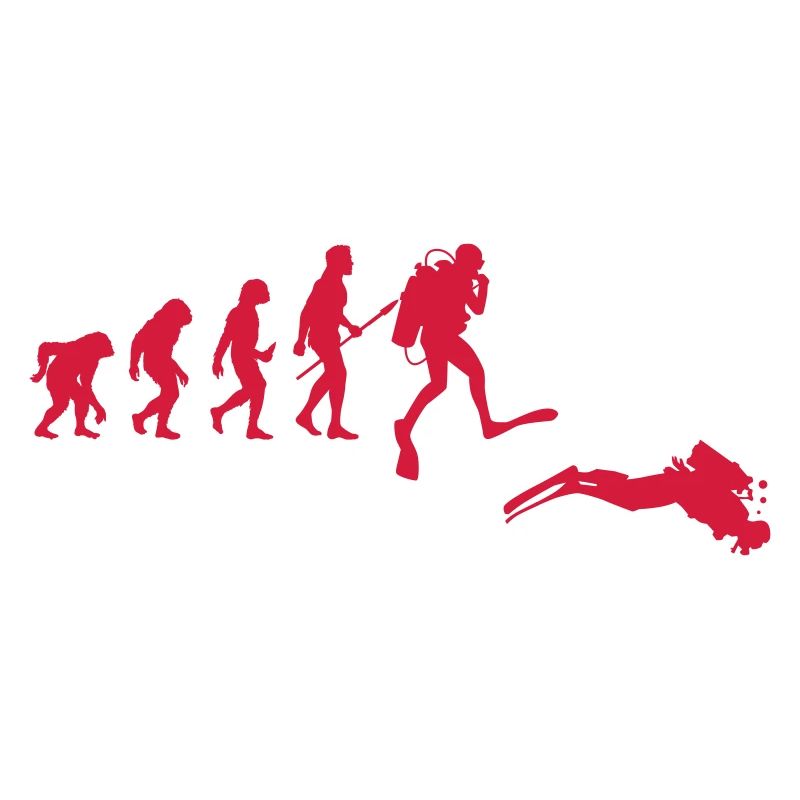 Évolution de Diver