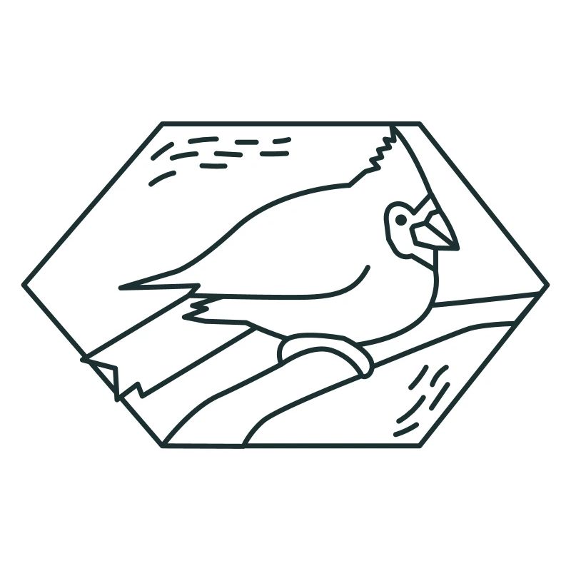 Diamond cardinal bird