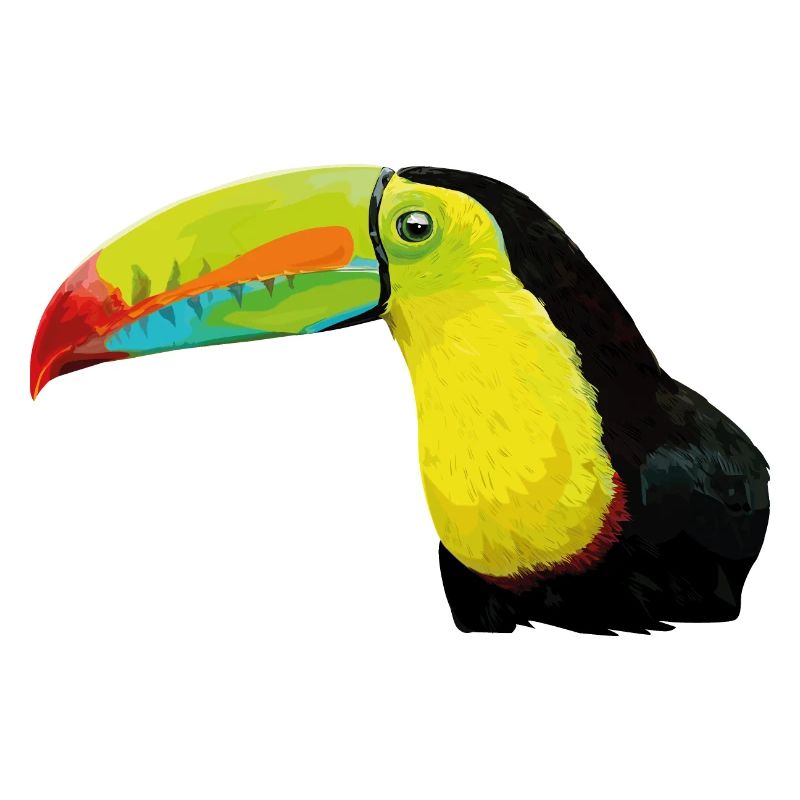 Green-billed toucan