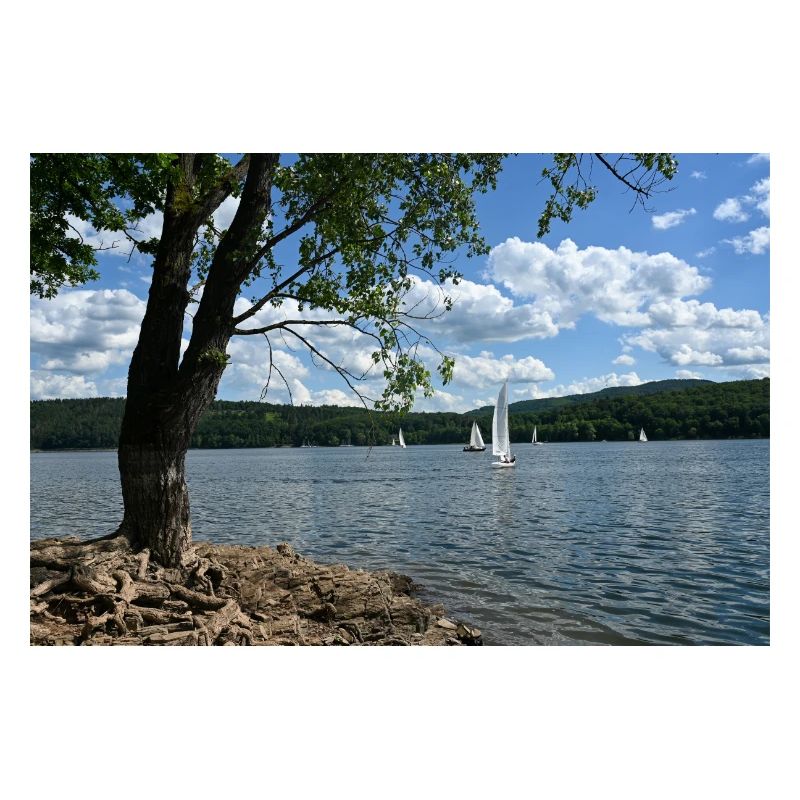 Lake Idyll
