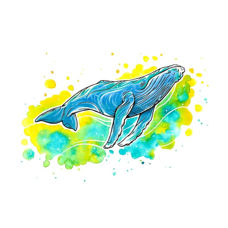 Humpback whale
