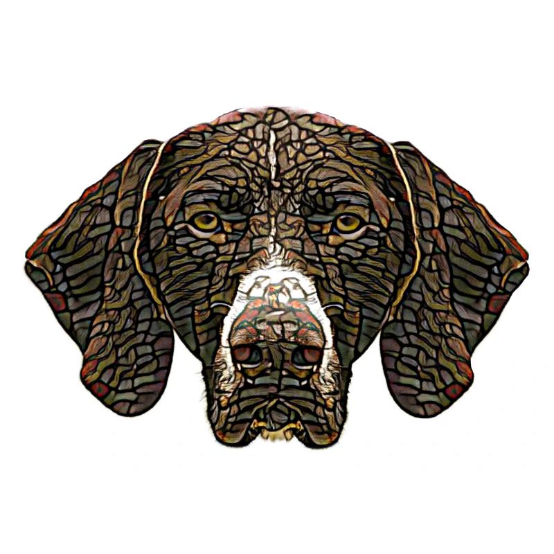 German Shorthaired Pointer Face
