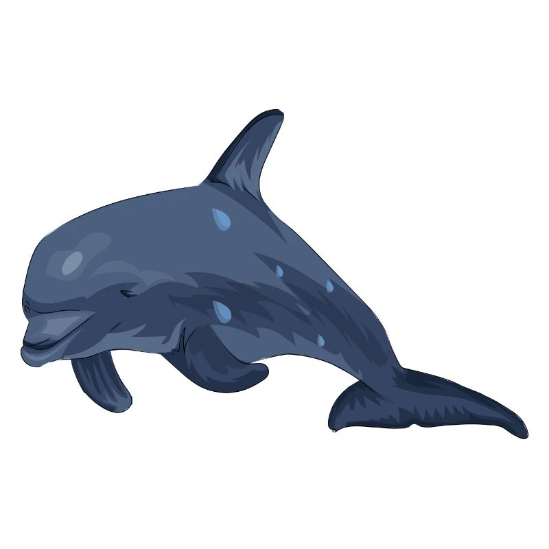 Mon animal de compagnie les créatures marines