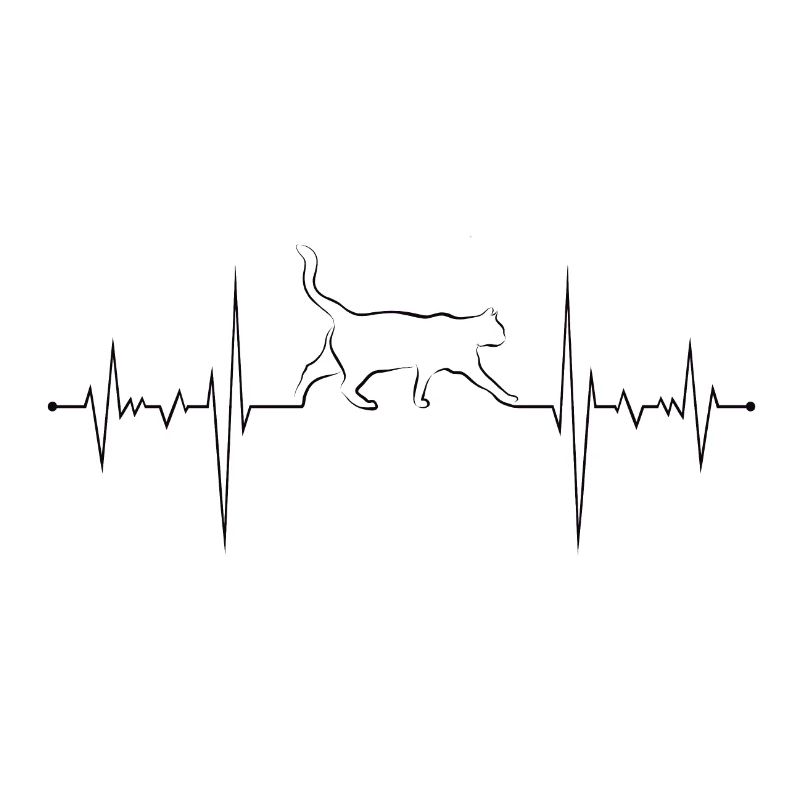 Amour de chat