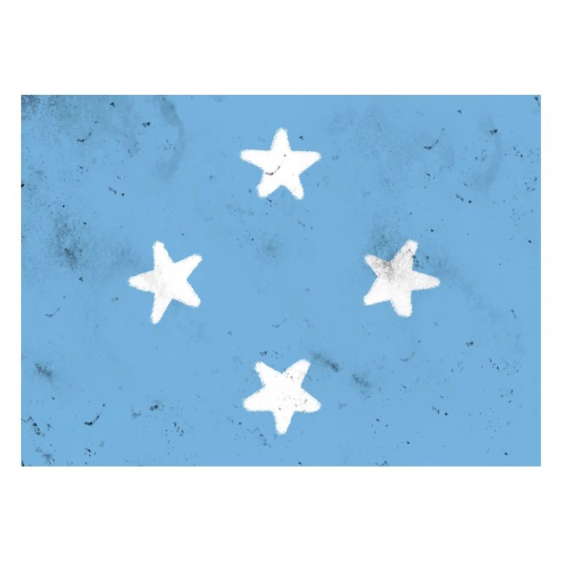 Drapeau de la Micronésie