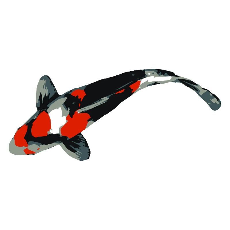 Koi Karpfen