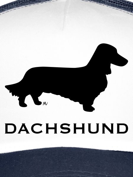Longhaired dachshund