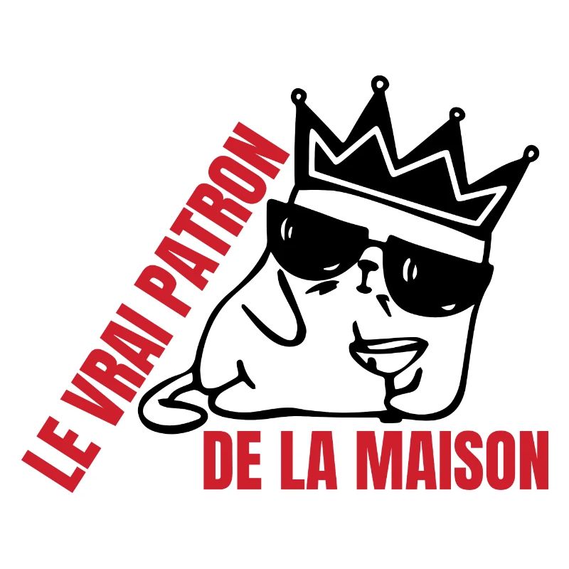 Le vrai patron de la maison chat