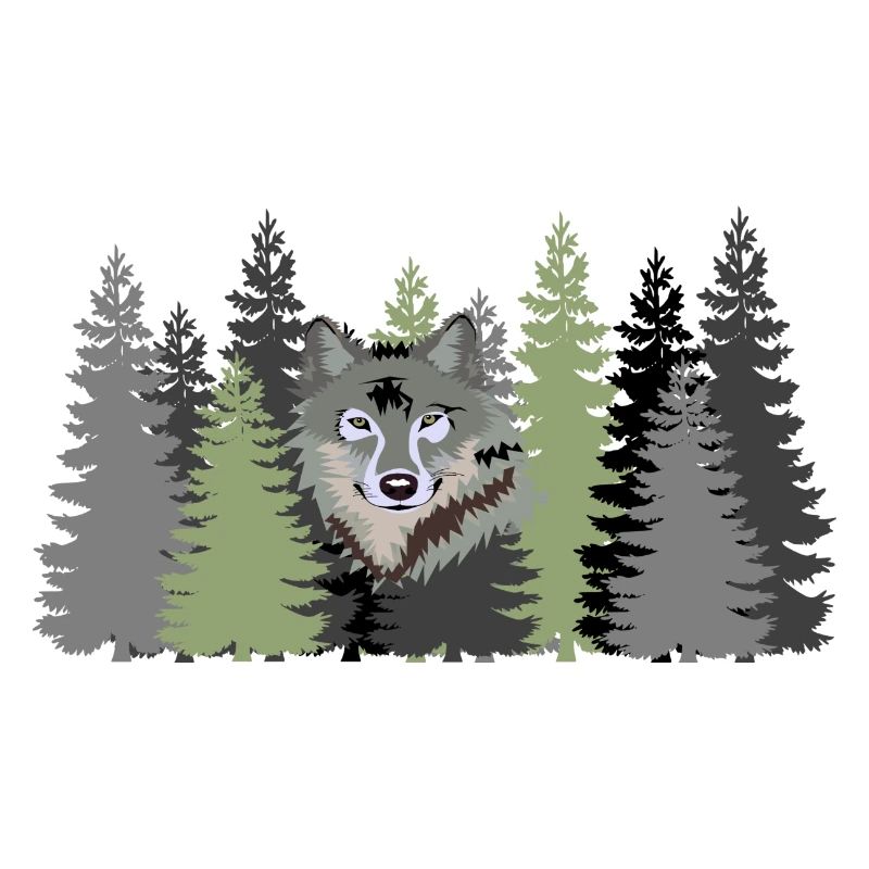 Loup gris (gris) dans la forêt sauvage
