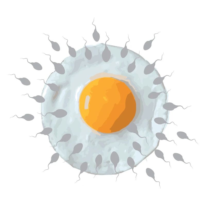 Œuf du petit-déjeuner