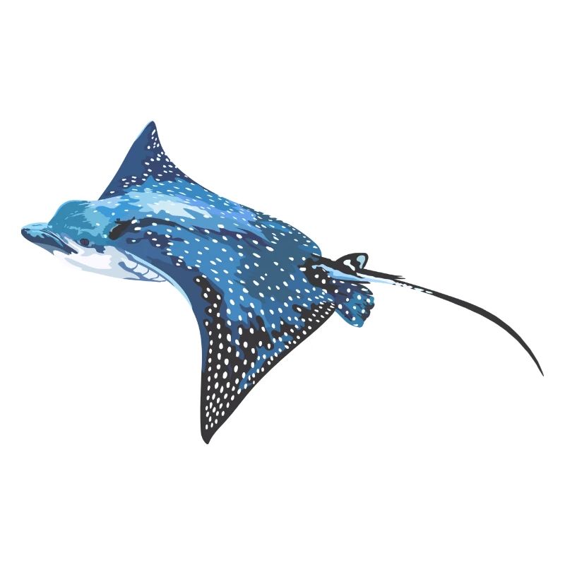 Rochen Adlerrochen Fisch Meerestier