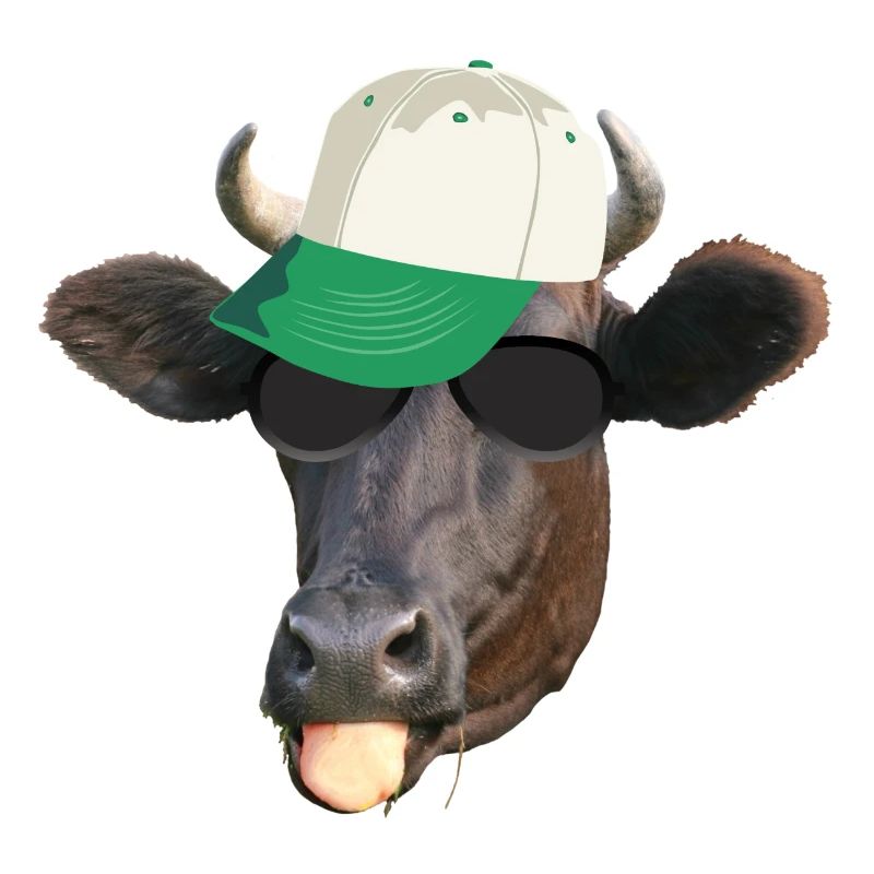 coole Kuh