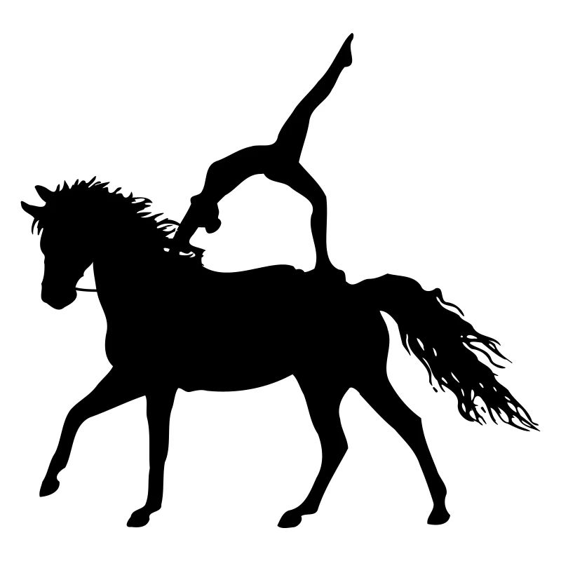 Vaulting Acrobatics Equestrian Riding Horse