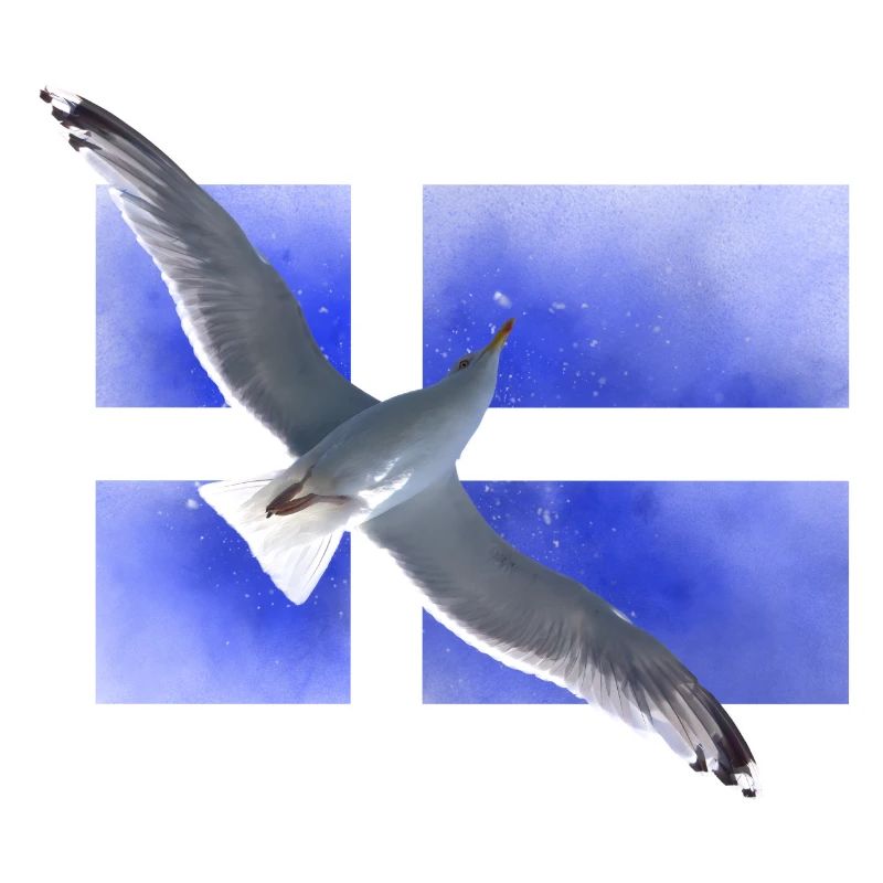 Finnland Möwe Suomi