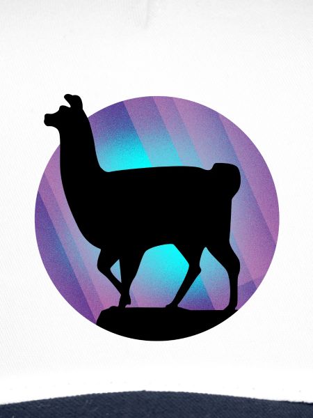 Llama alpaca