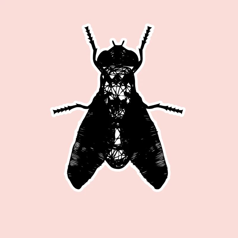 Insect insect fly artistic