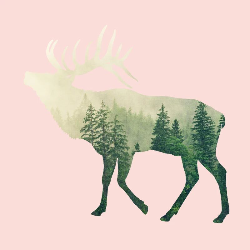 Hirsch