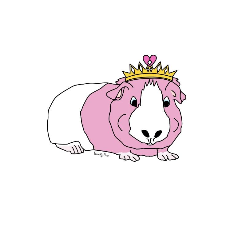 cochon d'inde princesse
