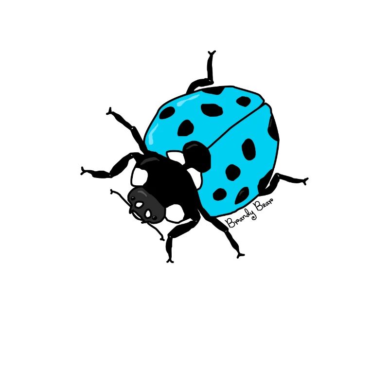 ladybug