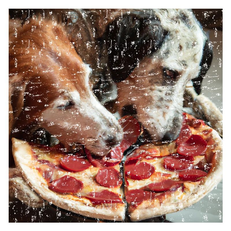 Deux chiens mangeant de la pizza salami