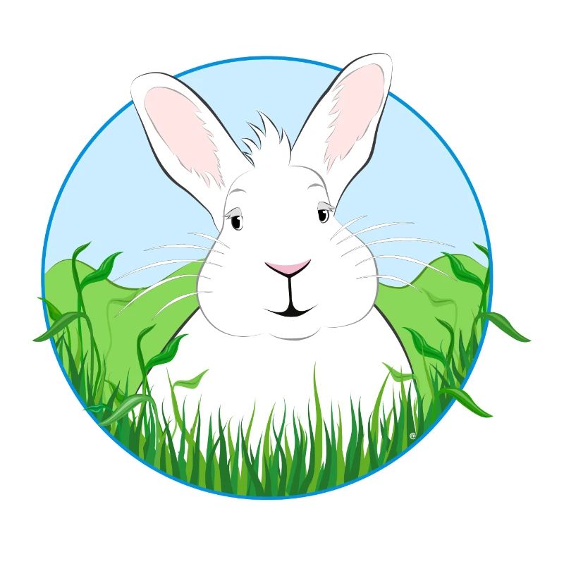 White Rabbit