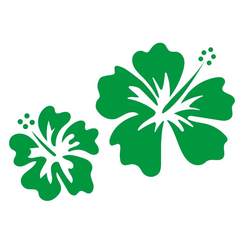 Hibiscus vert