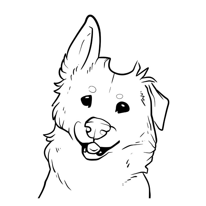 Fun and funny dog