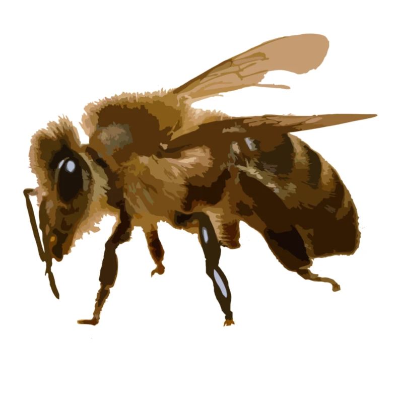 Bee Fluff